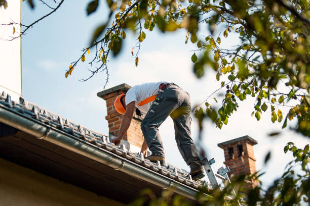 Quick and Trustworthy Emergency Roof Repair Services in Burlington, WA