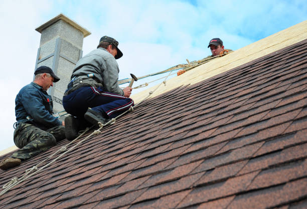 Roof Gutter Cleaning in Burlington, WA